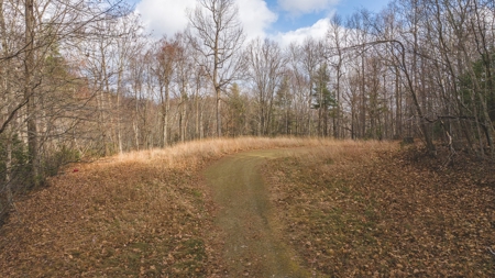 Land for Sale in Floyd VA - image 11