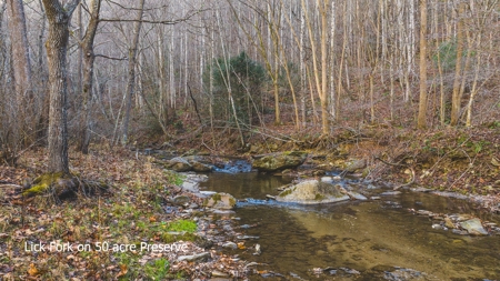 Land for Sale in Floyd VA - image 23