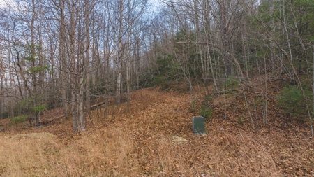 Land for Sale in Floyd VA - image 12