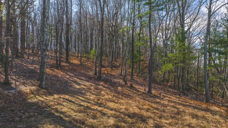 Land for Sale in Floyd VA - image 3