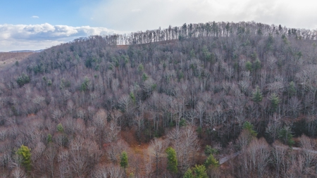 Land for Sale in Floyd VA - image 5