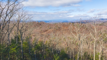 Land for Sale in Floyd VA - image 2