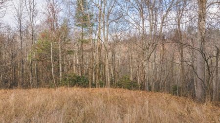 Land for Sale in Floyd VA - image 14