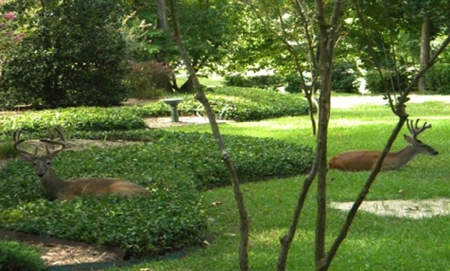 3/2/2 Custom Home Holly Lake Ranch East Texas Wood County Tx - image 34