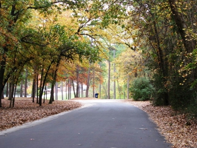 3/2/2 Custom Home Holly Lake Ranch East Texas Wood County Tx - image 37
