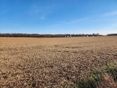 32.4 acres of developmental land for sale near Portland Tn. - image 8