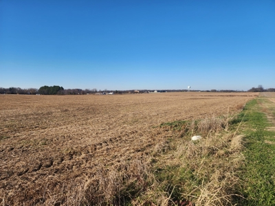 32.4 acres of developmental land for sale near Portland Tn. - image 3