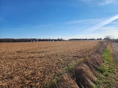 32.4 acres of developmental land for sale near Portland Tn. - image 9