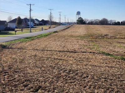 32.4 acres of developmental land for sale near Portland Tn. - image 1