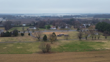 32.4 acres of developmental land for sale near Portland Tn. - image 13