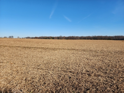 32.4 acres of developmental land for sale near Portland Tn. - image 7