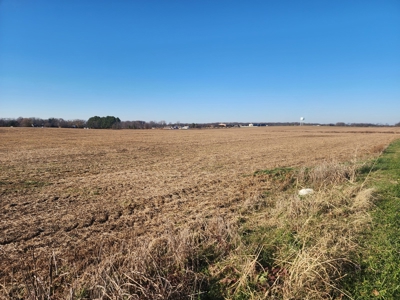 32.4 acres of developmental land for sale near Portland Tn. - image 2
