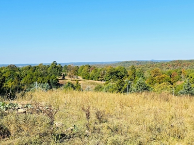 High Fenced Acreage For Sale In North Central Arkansas - image 12