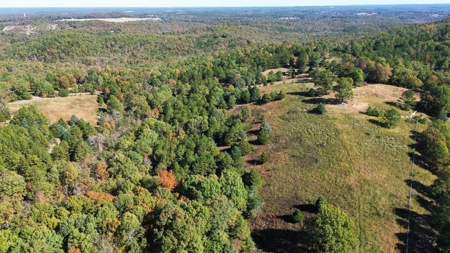 High Fenced Acreage For Sale In North Central Arkansas - image 5