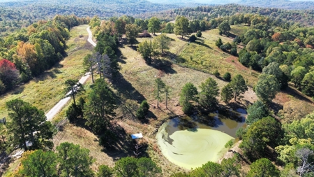 High Fenced Acreage For Sale In North Central Arkansas - image 1