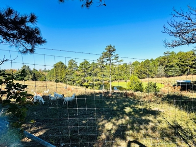 High Fenced Acreage For Sale In North Central Arkansas - image 8