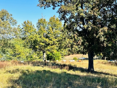 High Fenced Acreage For Sale In North Central Arkansas - image 11