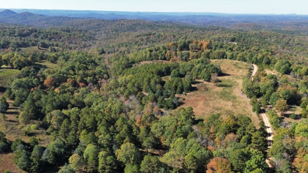 High Fenced Acreage For Sale In North Central Arkansas - image 3