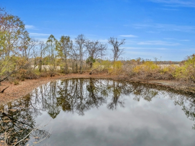 Income-Producing Farm for Sale in TN - Prime for Development - image 16