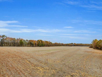 Income-Producing Farm for Sale in TN - Prime for Development - image 27