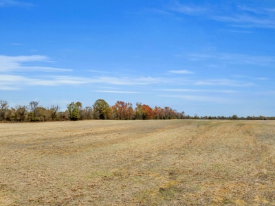 Income-Producing Farm for Sale in TN - Prime for Development - image 22