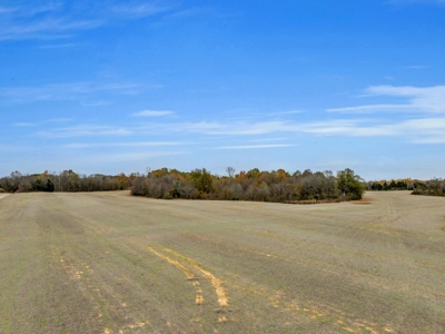 Income-Producing Farm for Sale in TN - Prime for Development - image 13