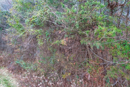 Lake View Lot with Boat Slip For Sale in Catawba NC - image 15