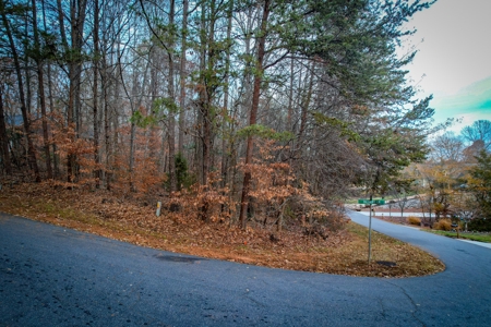 Lake View Lot with Boat Slip For Sale in Catawba NC - image 20