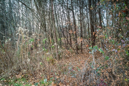 Lake View Lot with Boat Slip For Sale in Catawba NC - image 17