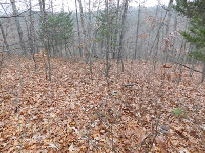 Acreage For Sale Near Ozark National Forest fronts County Rd - image 7