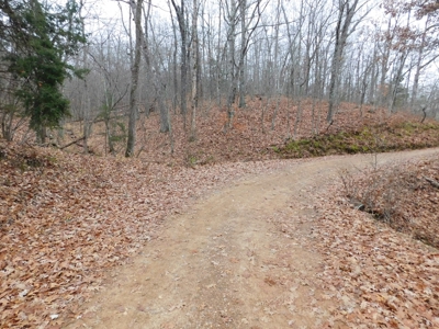 Acreage For Sale Near Ozark National Forest fronts County Rd - image 1