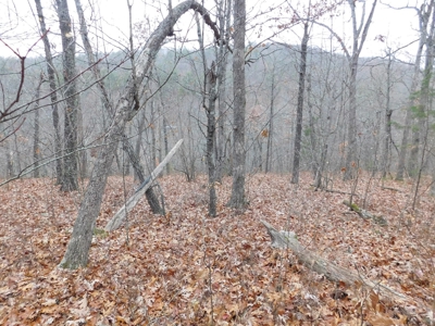 Acreage For Sale Near Ozark National Forest fronts County Rd - image 6