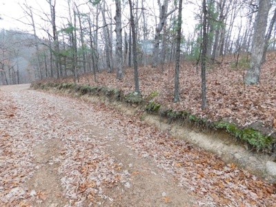 Acreage For Sale Near Ozark National Forest fronts County Rd - image 9