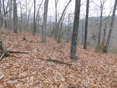 Acreage For Sale Near Ozark National Forest fronts County Rd - image 3