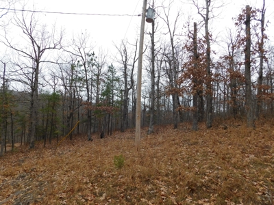 Acreage For Sale Near Ozark National Forest fronts County Rd - image 8