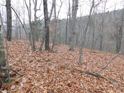 Acreage For Sale Near Ozark National Forest fronts County Rd - image 2