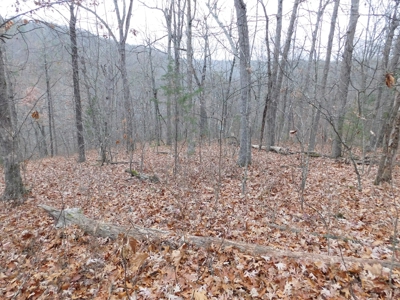 Acreage For Sale Near Ozark National Forest fronts County Rd - image 5