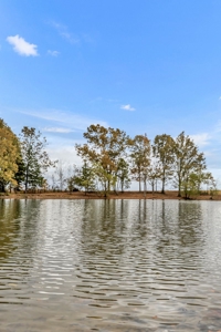 Prime Development Opportunity Near Blue Oval City, TN - image 33