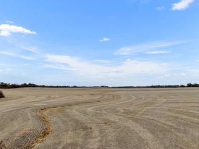 Prime Development Opportunity Near Blue Oval City, TN - image 20