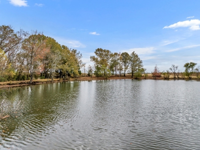Prime Development Opportunity Near Blue Oval City, TN - image 21