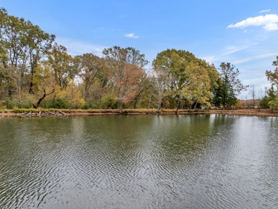 Prime Development Opportunity Near Blue Oval City, TN - image 23