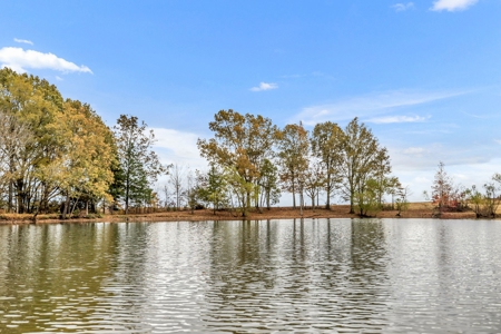 Prime Development Opportunity Near Blue Oval City, TN - image 32
