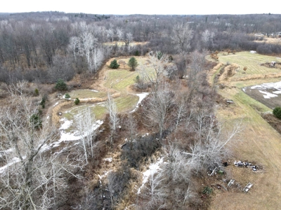 Phenomenal 88.8 acres of hunting and recreational land - image 4