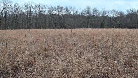 Phenomenal 88.8 acres of hunting and recreational land - image 33