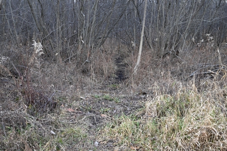 Phenomenal 88.8 acres of hunting and recreational land - image 26