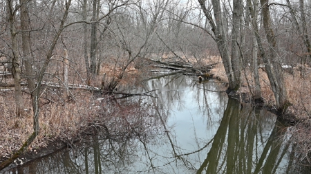 Phenomenal 88.8 acres of hunting and recreational land - image 31