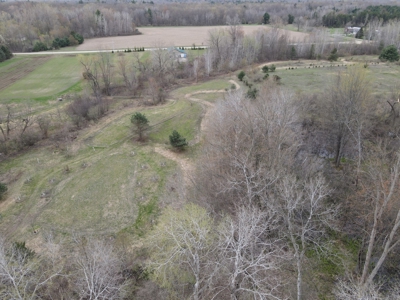 Phenomenal 88.8 acres of hunting and recreational land - image 13