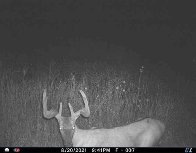 Phenomenal 88.8 acres of hunting and recreational land - image 38