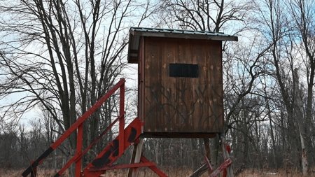 Phenomenal 88.8 acres of hunting and recreational land - image 29