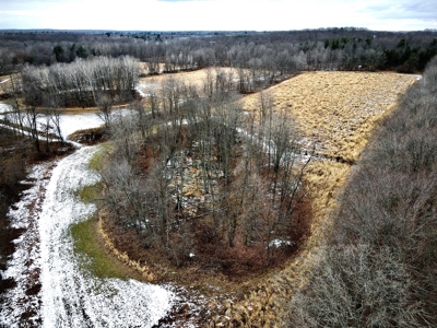Phenomenal 88.8 acres of hunting and recreational land - image 5